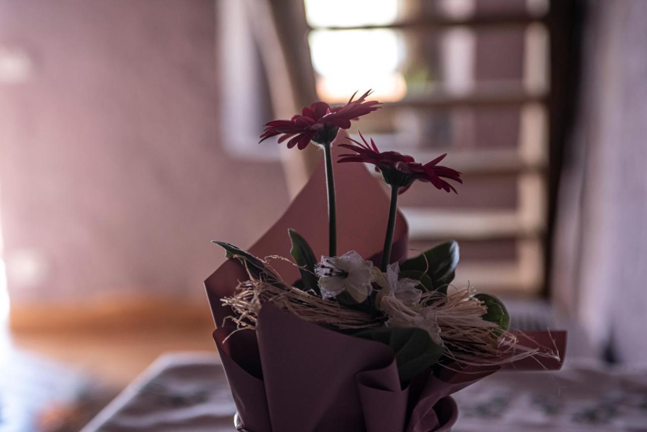 Agribenessere Agli Abatti 바르게 외부 사진
