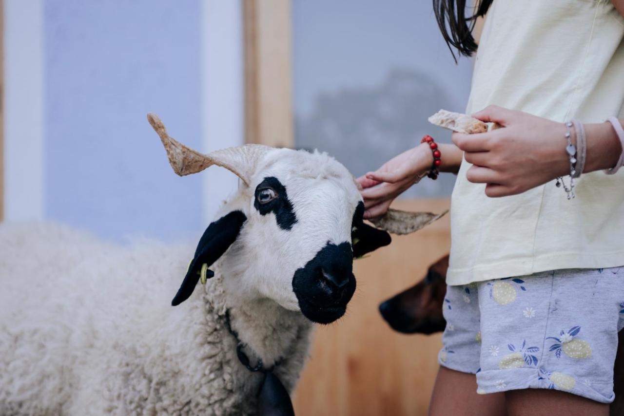 Agribenessere Agli Abatti 바르게 외부 사진